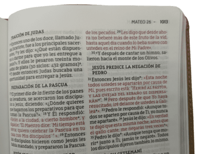 Biblia NBLA Ultrafina - Beige - Letra grande - Image 3