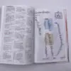 Biblia Manual Flor Rosa RVR1960 Tapa Dura - Image 4